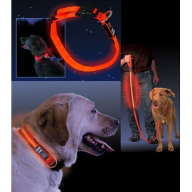 NITE IZE LED Licht Halsband Sicherheitshalsband Leuchthalsband