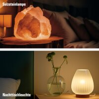 Paulmann 540.42 Röhrenlampe 40W E14 Klar 80x25 mm Dunstabzugshaube