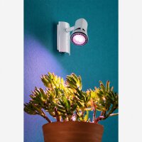 Paulmann 281.86 LED Reflektor GU10 5W 160lm Rosé 30° 230V